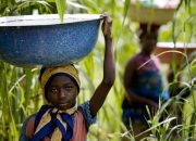 Ernährung von Kindern in Entwicklungsländern Ein Überlebenskampf