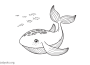 Printable Ocean Animals Coloring Pages Spark Creativity