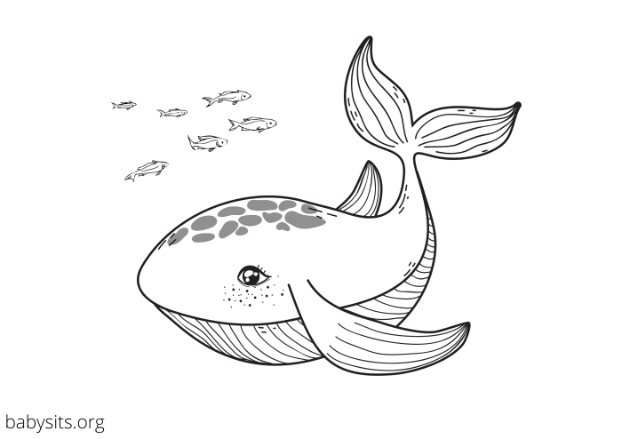 Printable ocean animals coloring pages