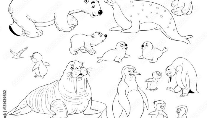 Arctic Animals Coloring Page Fun and Educational