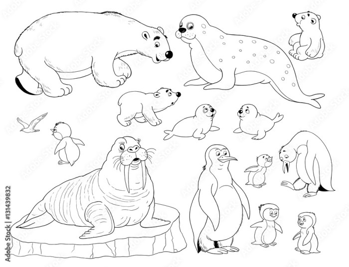 Arctic animals coloring page