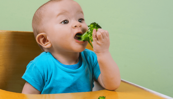 Kleine Kinder Ernährung Beibringen Krippe