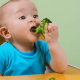 Infants nutrition complementary feeding weaning toddlers principles toddler parents good faq guiding messy