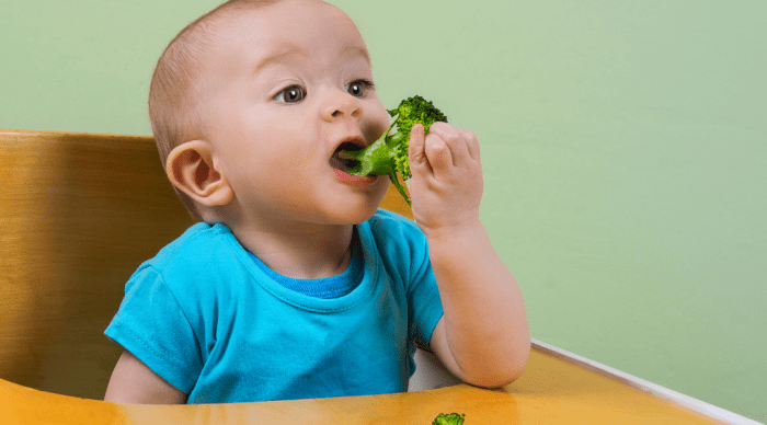 Infants nutrition complementary feeding weaning toddlers principles toddler parents good faq guiding messy