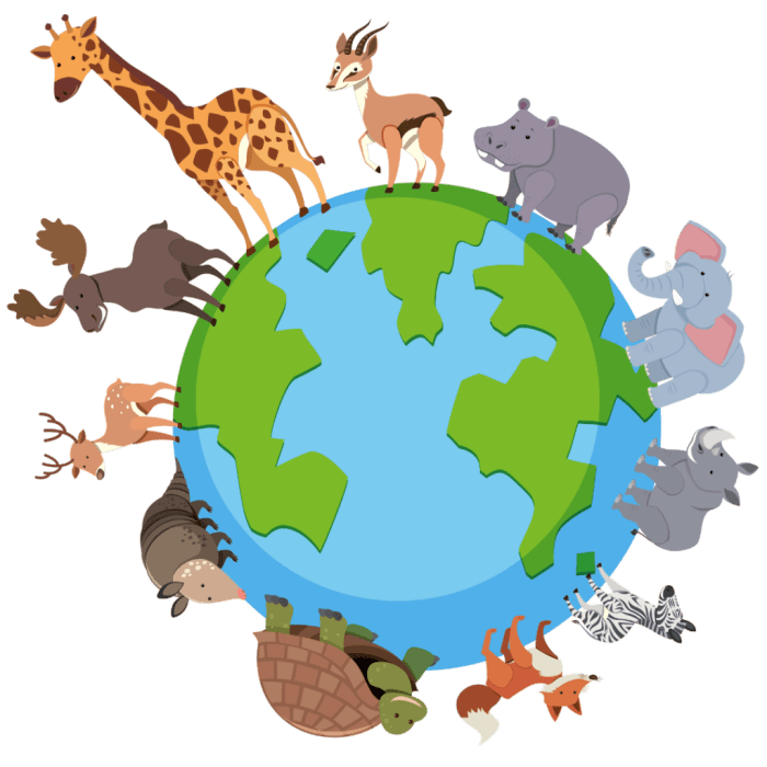 Animal coloring pages pdf