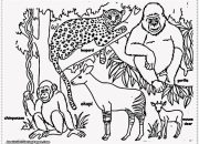 Jungle Animals Coloring Pages A Comprehensive Analysis