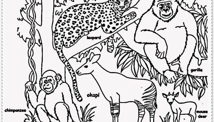 Jungle Animals Coloring Pages A Comprehensive Analysis