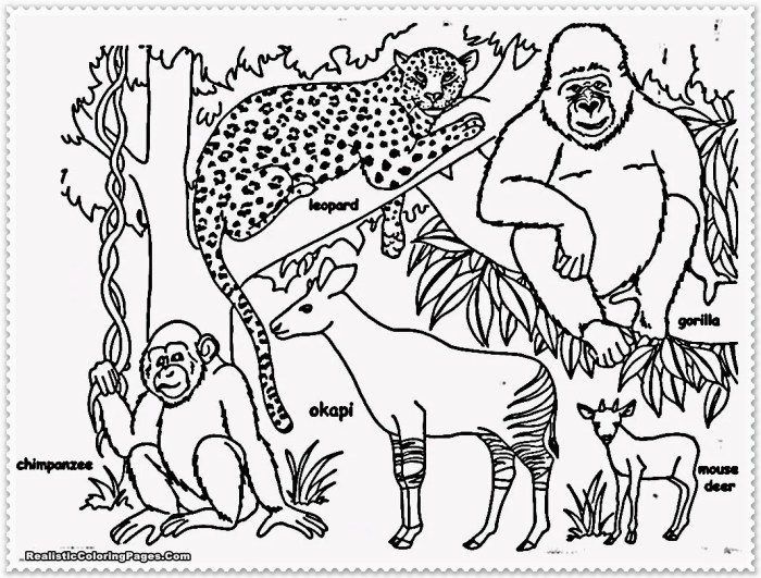 Jungle animals coloring pages