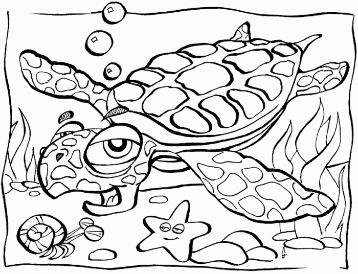 Coloring pages ocean animals