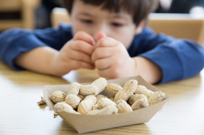 Ernährung kind bei erdnussallergie