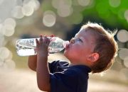 Angebot Thema Wasser Kinder Ernährung