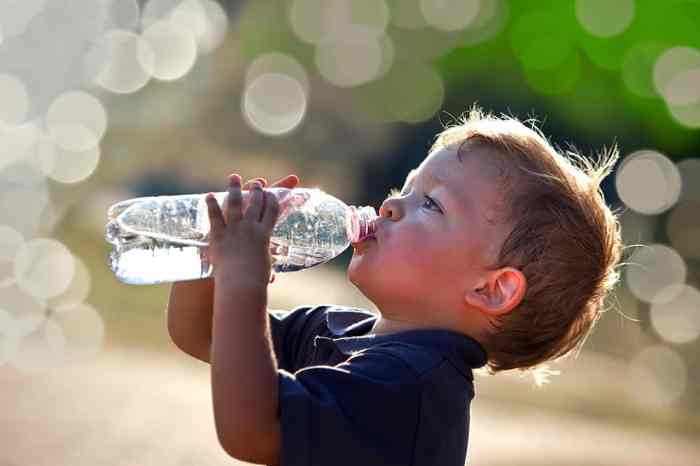 Angebot thema wasser kinder ernährung