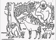 Rainforest animal coloring pages bring the jungle to life.