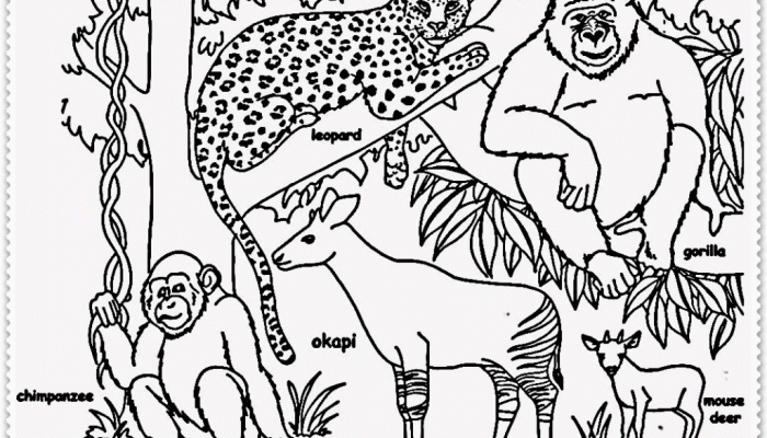 Rainforest animal coloring pages bring the jungle to life.