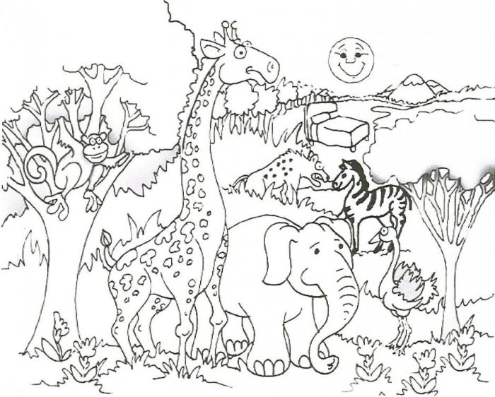 Safari animals coloring pages