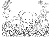 Zoo Animals Coloring Pages PDF A Creative Journey