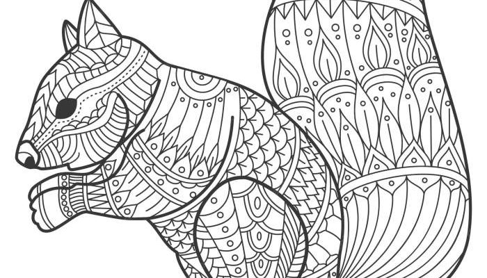 Animal Mandala Coloring Pages A Creative Journey