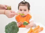 Ernährung Kinder 2-3 Jahre  Fit für den Kleinkind-Alltag!