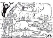 Safari Animals Coloring Pages Unleash Creativity