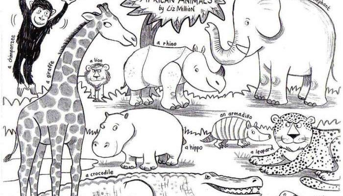 Safari Animals Coloring Pages Unleash Creativity