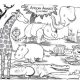 Safari animals coloring pages