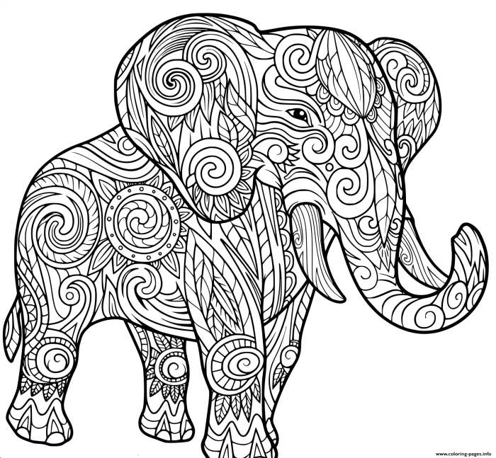 Animal print coloring pages