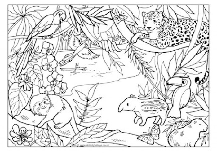 Jungle animals coloring pages