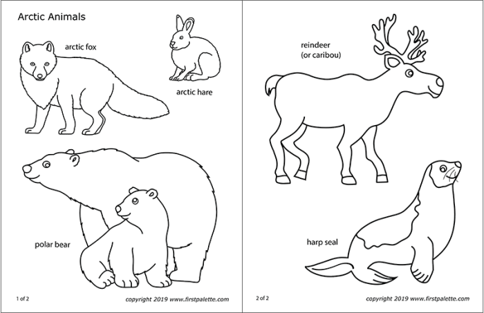 Arctic animals coloring page