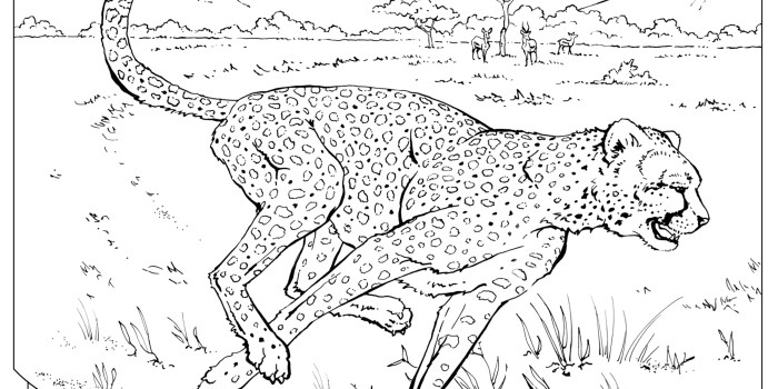 Printable wild animal coloring pages