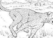 Free Coloring Pages Realistic Animals