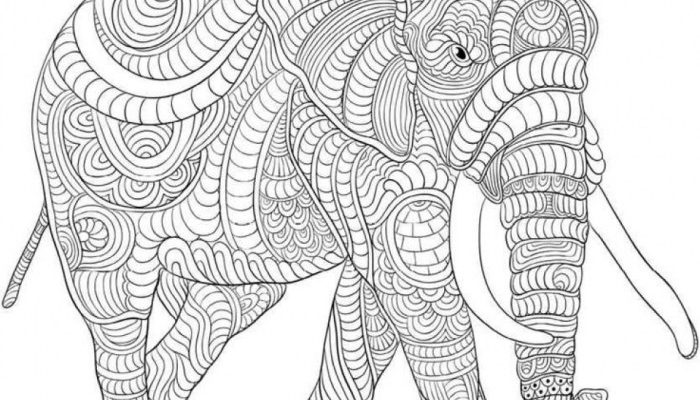 Coloring Pages Hard Animals  A Right Challenge!