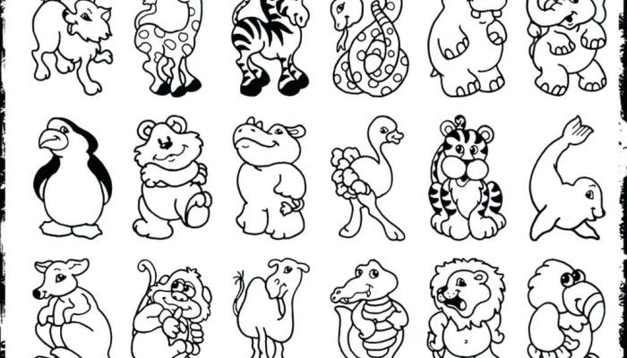 Animal Print Coloring Pages A Wildly Creative Outlet