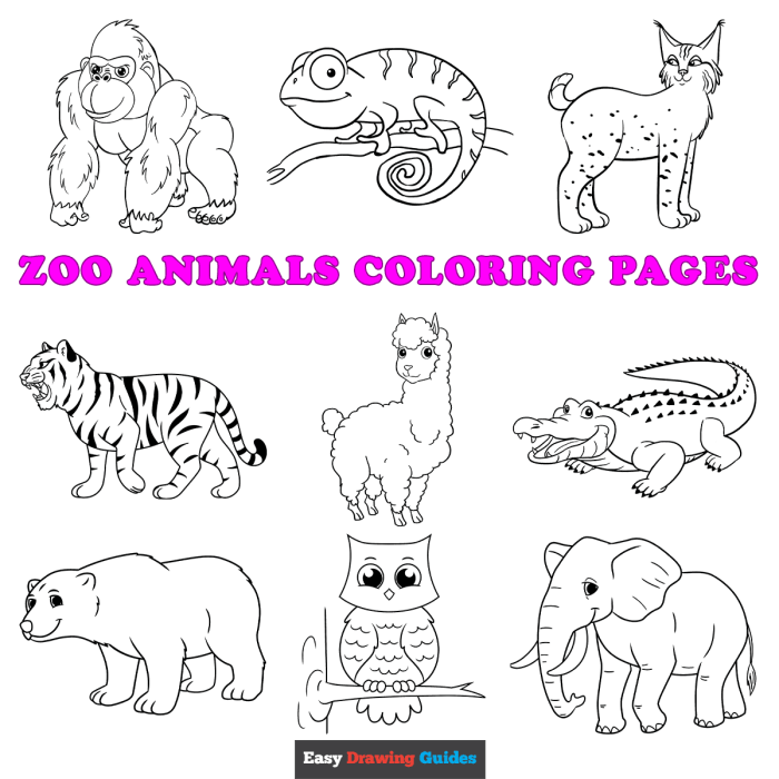 Coloring page of animals