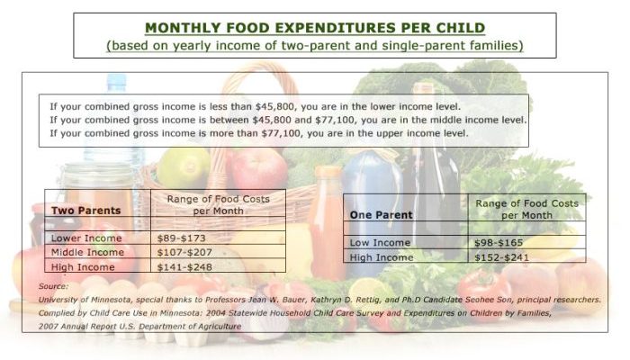 Kosten Ernährung pro Tag Kinder Dollar  Ein Überblick