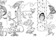 Animal Habitat Coloring Sheets Fun & Learning