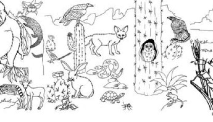 Animal Habitat Coloring Sheets Fun & Learning