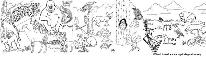 Animal habitat coloring sheets