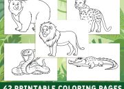 Coloring Pages Wild Animals A Creative Journey