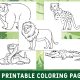 Coloring pages wild animals