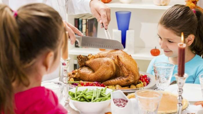 Kinder erfahrung ernährung fleisch