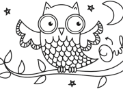 Explore Nocturnal Animals Coloring Sheets