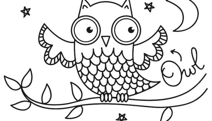 Explore Nocturnal Animals Coloring Sheets