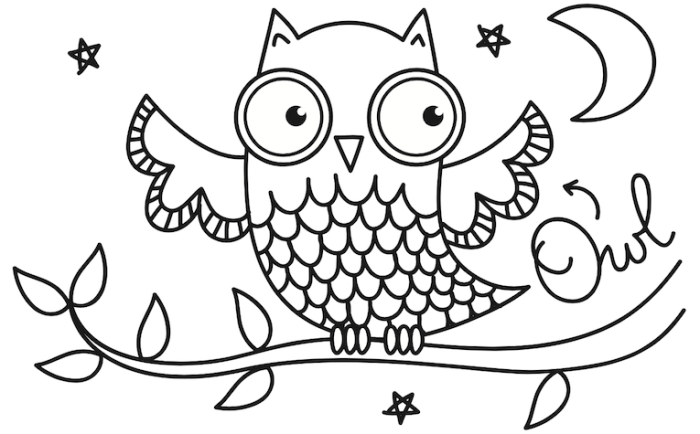 Nocturnal animals coloring sheets