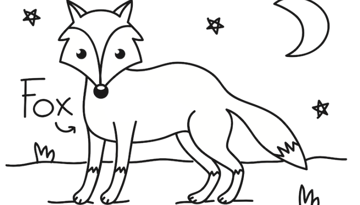 Nocturnal Animals Coloring Page A Creative Guide