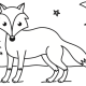 Nocturnal animals coloring page