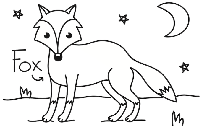 Nocturnal animals coloring page