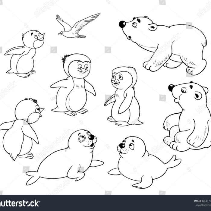 Arctic animals coloring page