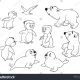 Arctic animals coloring sheets