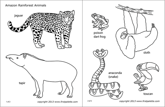 Rainforest animal coloring pages