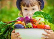 Gesunde ernährung kinder rezepte